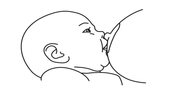 Грудне вигодовування прикладання