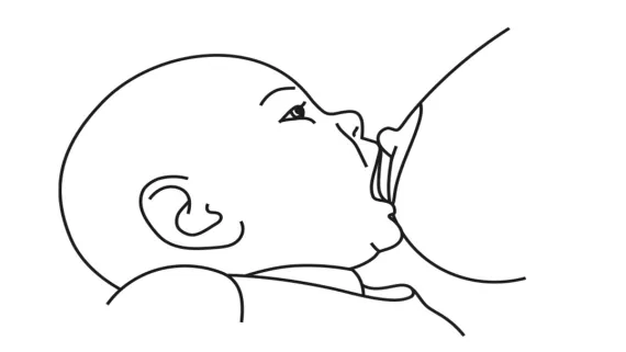 Грудне вигодовування правильне перше прикладання